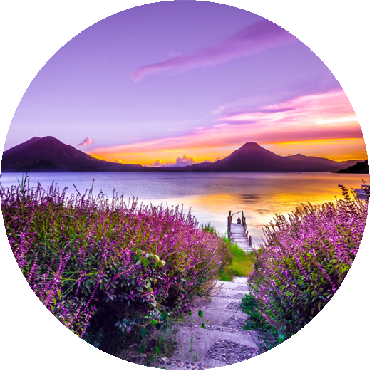 Home page circle image